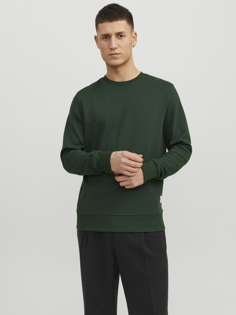 Jack & Jones UNISEX - Sweatshirt - mountain view