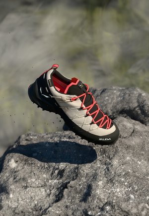 WILDFIRE 2 GTX - Klätterskor - oatmeal/black