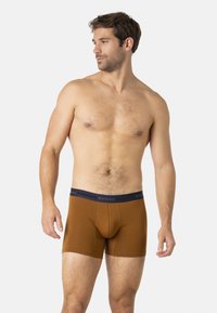 Boxer briefs marron en tissu doux, avec une ceinture marine ornée d'un logo. Conçus pour le confort avec un ajustement près du corps.