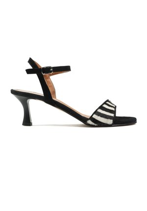 Czarna sandałki na obcasie typu kitten heel z paskiem na kostkę i przednią taśmą w zebra wzór, otwarty z przodu i zapinana na klamrę na białym tle.