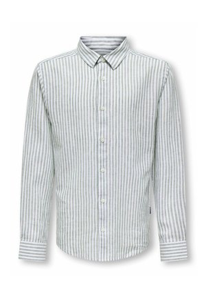 Langärmliges Hemd mit Knopfleiste, vertikalen hellgrauen und weißen Streifen, klassischem Kragen und geknöpften Manschetten.