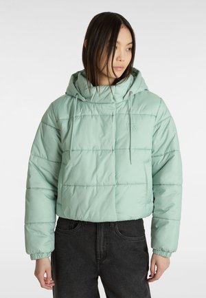 Vans HILLGATE CROPPED PUFFER - Winterjas - olive