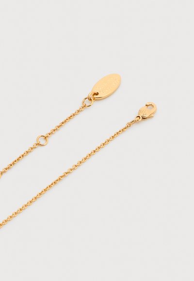 Λεπτό χρυσό κολιέ αλυσίδας με μια μικρή οβάλ ταμπέλα και κλείσιμο με κούμπωμα αστακού σε απλό φωτεινό φόντο.