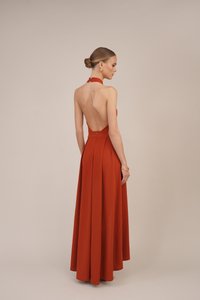 Back view of a long, sleeveless dress in rust-orange fabric. Features a halter neck, open back, and pleated skirt. Elegant, smooth texture.