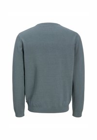 Jack & Jones JJEBASIC CREW NECK NOOS - Jumper - stormy weather
