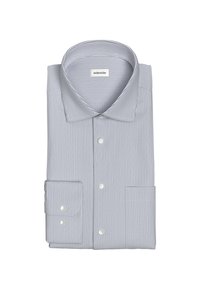 Vouwen gestreepte blouse in lichtblauw en wit. Met een klassieke kraag, knoopsluiting en lange mouwen met manchetten.