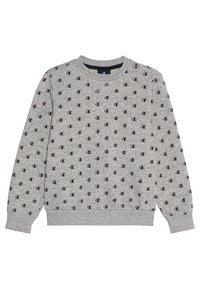 Champion Felpa - mottled grey