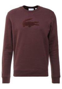 Felpa marrone in cotone. Ha un logo a forma di coccodrillo tono su tono sul petto, polsini e orlo a coste, e un collo a giro.