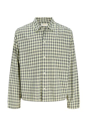 Băiat cu păr creț poartă o cămașă verde în carouri peste un tricou verde cu grafică, blugi largi și pantofi maro, stând pe un fundal alb simplu.