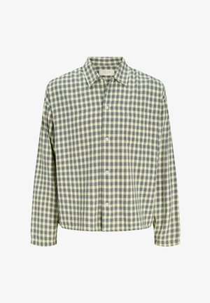 Băiat cu păr creț poartă o cămașă verde în carouri peste un tricou verde cu grafică, blugi largi și pantofi maro, stând pe un fundal alb simplu.