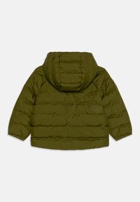 The North Face BABY REVERSIBLE PERRITO HOODED UNISEX - Zimska jakna - forest olive