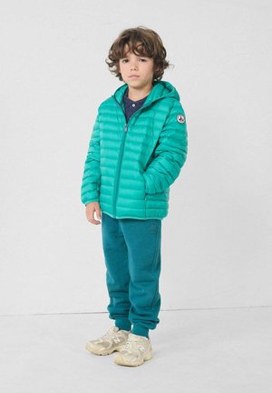 CAPUCHE PERSAN HUGO - Gewatteerde jas - vert