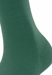 FALKE SOFTMERINO - Kniestrümpfe - caiman