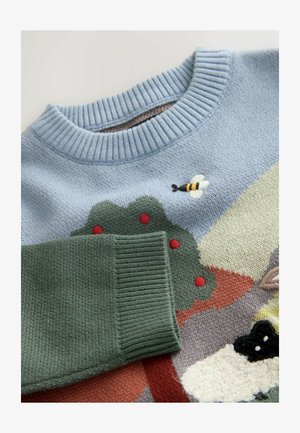 Megztinis turi šviesiai mėlyną pagrindą, o priekyje yra išsiuvinėtas bites ir medžiai žalia, raudona ir įvairiaspalvėmis dizainais.