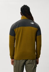 The North Face GLACIER HEAVYWEIGHT 1/2 ZIP - Felpa in pile - moss green/asphalt grey