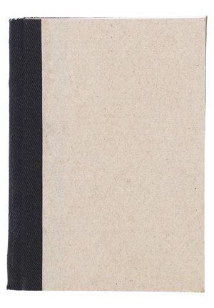 VIRGINIA - Other accessories - beige