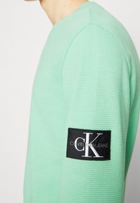 Mintgrüner Strickpullover mit strukturiertem Stoff und einem schwarzen Logo-Patch, das "CALVIN KLEIN JEANS" am linken Ärmel zeigt.