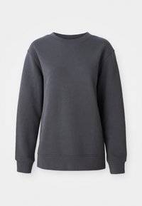 DOME RELAXED CREW - Bluză de molton - anthracite grey