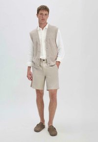 Gebreide vest in lichtbeige met een zigzagpatroon, gecombineerd met kaki shorts. Model draagt bruine instappers; hij heeft een witte blouse met kraag aan.