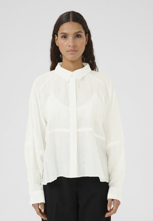 Blusa bianca trasparente a maniche lunghe con colletto a punta, chiusura con bottoni e orlo leggermente curvato. Tessuto texturizzato con cuciture visibili.