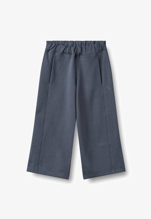 Wheat, SWEATPANTS CONRAD - Tracksuit bottoms - greyblue
