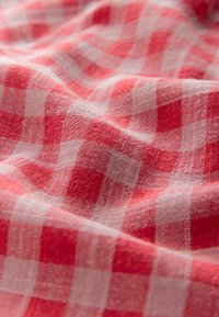 Next REGULAR FIT BLEND RUFFLE SLEEVE  - Blouse - pink red gingham
