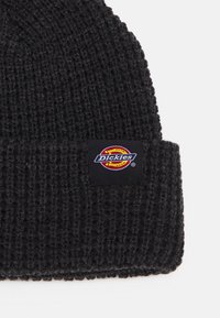Dickies WOODWORTH UNISEX - Huer - black