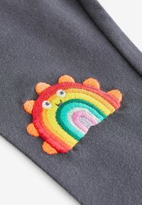 Next EMBELLISHED - Leggings - Byxor - charcoal grey rainbow