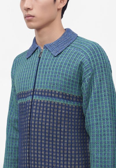 Jeune personne portant un pull zippé texturé bleu et vert avec un col côtelé bleu, montré de la poitrine vers le haut sur fond blanc.