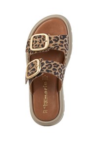 Leopard print slide sandals feature two wide straps with gold buckles, a brown cushioned insole, and a lightweight cream-colored sole.