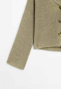 Massimo Dutti Strickjacke - light green
