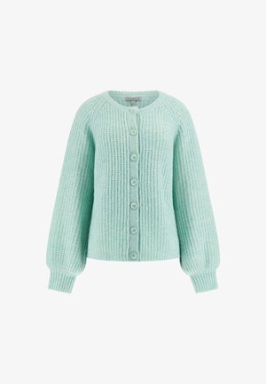 Cardigan lavorato a maglia di un verde menta chiaro, con scollatura tonda, maniche lunghe e volumetriche, e sei bottoni sul davanti. Tessuto con motivo testurizzato.