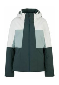 Ziener TASSILA JUNGLE - Snowboardjacke - dark green
