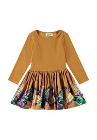 Ej vald, friendly zebra