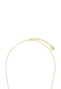 Collana in oro con chiusura a gancio, caratterizzata da un design sottile e delicato e da un piccolo tag ovale inciso per dettagli.