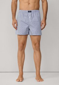 Pánské plavky modro-bílé pruhované, s elastickým pasem a předním zapínáním na knoflík. Měkká tkanina a volný střih pro pohodlí.