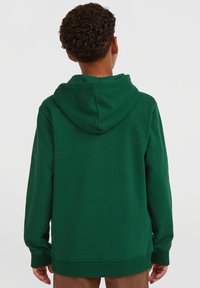 Person med krøllete hår iført en ensfarget mørk grønn hettegenser, sett fra baksiden mot en ensfarget bakgrunn.
