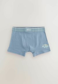Blå bomullsboxershorts med en dinosaurgrafik på vänster ben och en ljusgrå midja som har ordet "NEXT" i vitt.