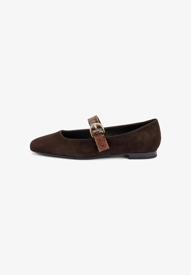 Zapato plano de ante marrón con punta afilada y una correa texturizada brillante que presenta una hebilla redonda dorada. Diseño elegante y con estilo.