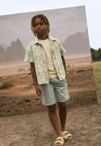 Chemise à manches courtes avec un imprimé de feuilles de palmier vert clair, t-shirt beige, shorts verts clairs et sandales beiges. Fond au sol avec des montagnes floues.
