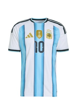 Maglia nazionale di calcio dell'Argentina con strisce verticali blu e bianche, numero 10, logo FIFA 2022 e stemma AFA sul petto.