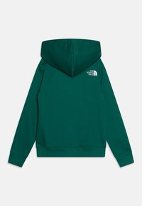 Pullover verde con cappuccio realizzato in tessuto morbido, caratterizzato da orlo e polsini a coste, con un piccolo logo bianco sulla parte superiore della schiena.
