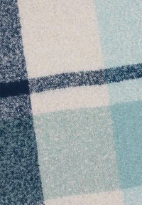 Woven blanket featuring a grid pattern in light blue, dark blue, and cream, with a soft, textured finish and contrasting dark blue lines.