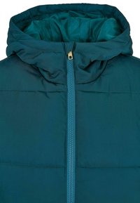 Zelená pufovaná bunda se zipovým uzávěrem a kapucí. Tkanina vypadá hladce s mírným leskem, ukazuje prošívanou texturu a kontrastní prošívání.