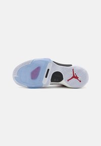 Balta sporta apavu zole ar caurspīdīgu zilu daļu, zvīņveida rakstu un melniem akcentiem. Iezīme ikoniskais sarkanais Jumpman logo.