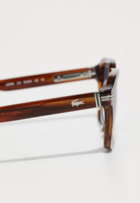 Lacoste Sončna očala - brown
