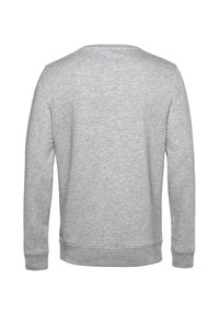 Grauer Sweatshirt mit langen Ärmeln, rundem Ausschnitt und gerippten Bündchen sowie Saum. Hergestellt aus einem strukturierten, weichen Stoff. Schlichte Rückansicht.