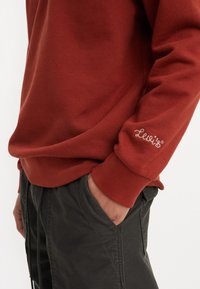 Rotkleurige sweatshirt van zachte stof, met ribgebreide manchetten en zoom, en een klein geborduurd "Levi's" logo op de mouw. Gecombineerd met donkere broek.