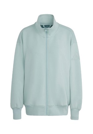 Light blue zip-up sweatshirt with high collar, ribbed cuffs, and logo detail on sleeve. Made from soft, smooth fabric.