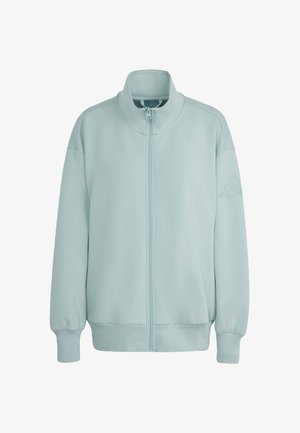 Light blue zip-up sweatshirt with high collar, ribbed cuffs, and logo detail on sleeve. Made from soft, smooth fabric.
